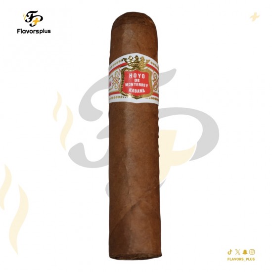 سيجار هويو دي مونتيري بيتيت روبوستو | Hoyo de Monterrey Petit Robusto