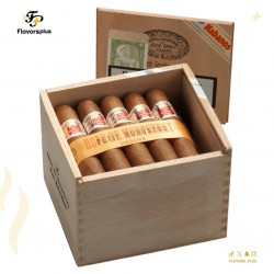 سيجار هويو دي مونتيري بيتيت روبوستو | Hoyo de Monterrey Petit Robusto