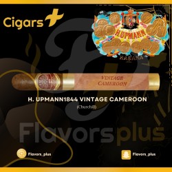 سيجار إتش. أبمان  1844 كاميرون |  H. UPMANN 1844 VINTAGE CAMEROON (Churchill) CIGAR 
