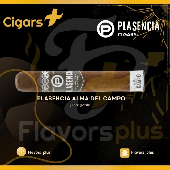 سيجار بلاسينسيا الما ديل كامبو تورو جوردو | plasencia alma del campo (Toro gordo)