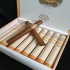 سيجار إتش. أبمان كوروناس ماجور | H. UPMANN CORONAS MAJOR (Tube) CIGAR