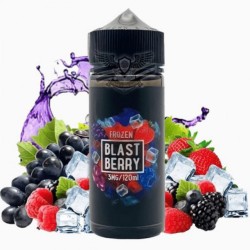 نكهة بلاست بيري آيس سامز فيب | BLAST BERRY ICE SAMS VAPE 120ml