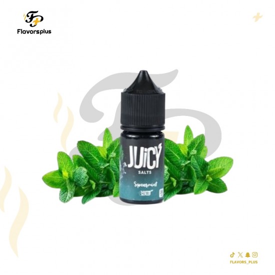 نكهة جوسي نعناع ايس | JUICY Spearmint 30ML 