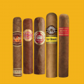 سيجار | CIGAR